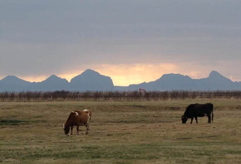 تختخواب و صبحانه Dalssel Farm Guesthouse