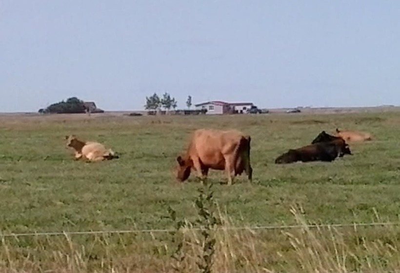 تختخواب و صبحانه Dalssel Farm Guesthouse