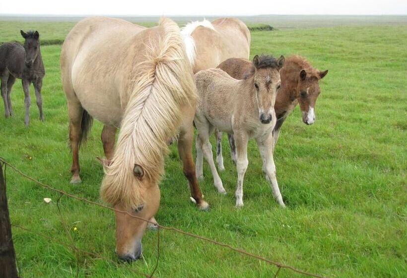 تختخواب و صبحانه Dalssel Farm Guesthouse