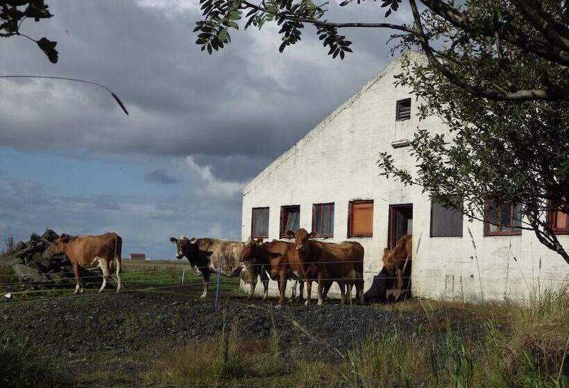 تختخواب و صبحانه Dalssel Farm Guesthouse