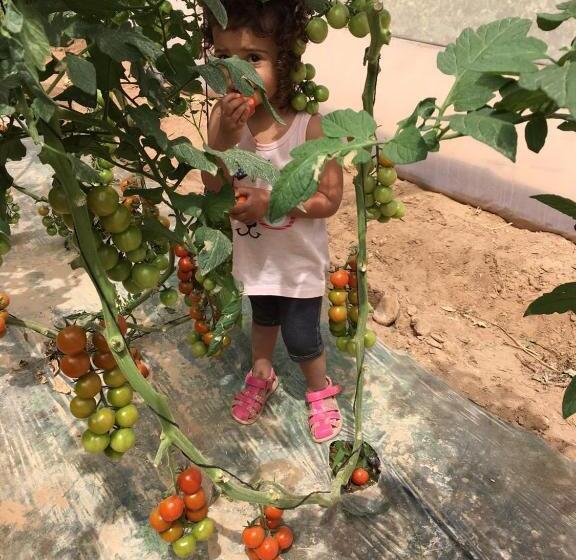 Bed and Breakfast Elifaz Desert Experience Holiday