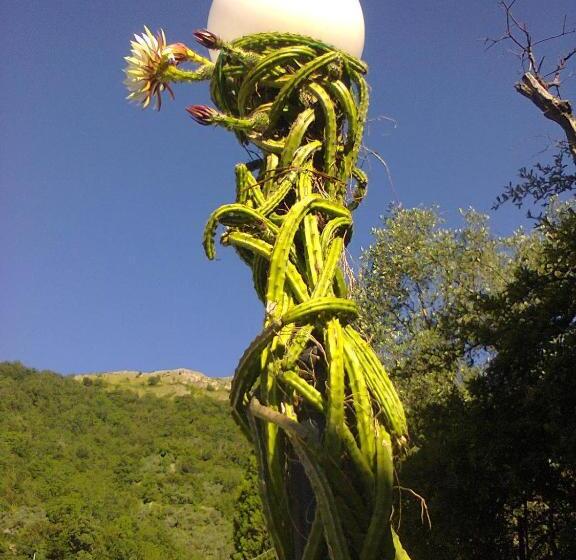 مبيت وإفطار La Margherita Di Teriasca