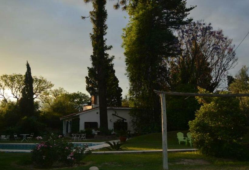 مبيت وإفطار Loft En Casona Colonial