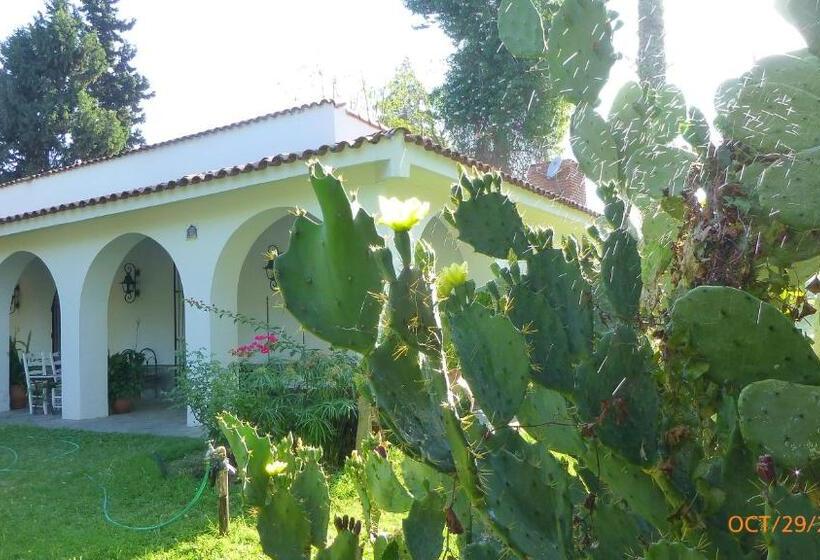 مبيت وإفطار Loft En Casona Colonial