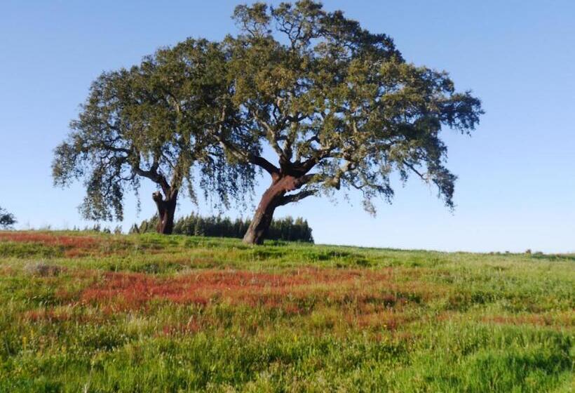 تختخواب و صبحانه Rural House