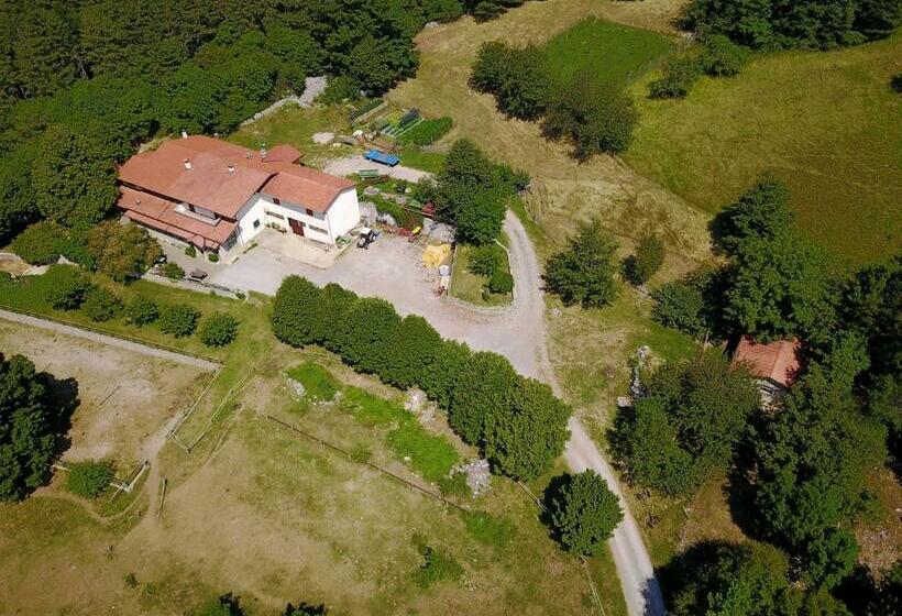 هتل Farm Stay File