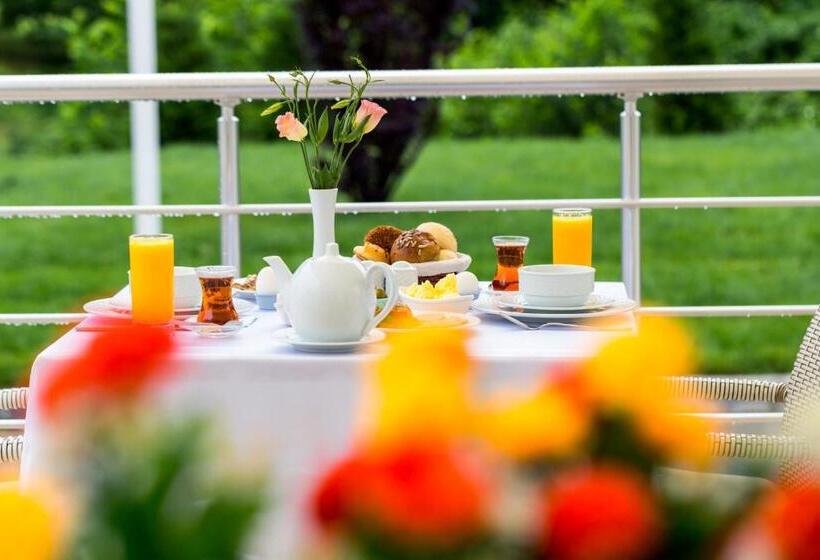 هتل Gabala Yengice Thermal Resort