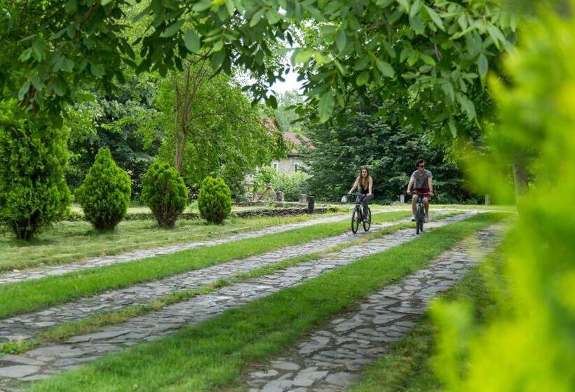 هتل Gabala Yengice Thermal Resort