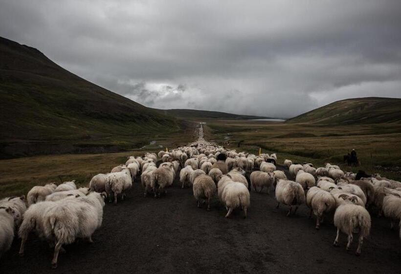 هتل Miðhvammur Farm Stay