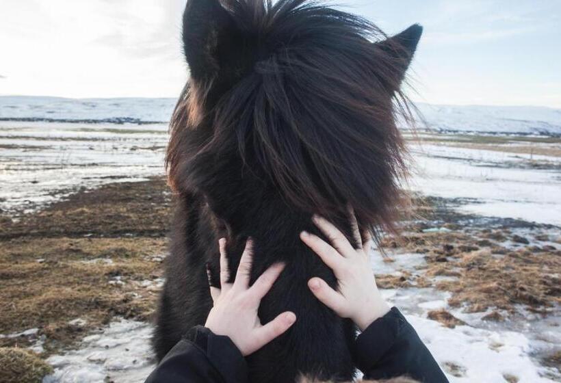 هتل Miðhvammur Farm Stay