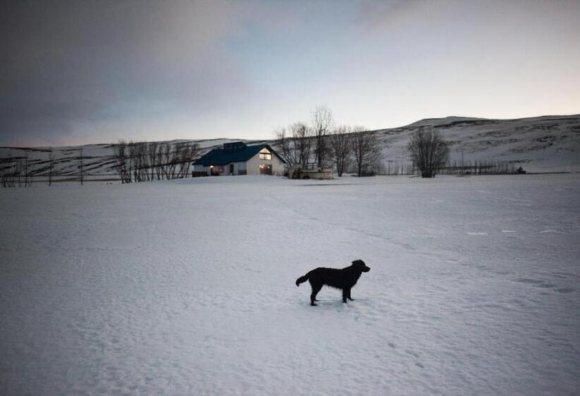 هتل Miðhvammur Farm Stay