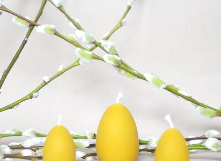 Отель Rongen Gard