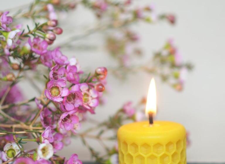 Отель Rongen Gard