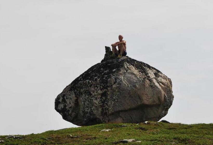 Отель Rongen Gard