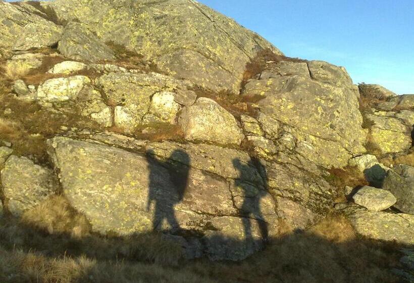 Отель Rongen Gard