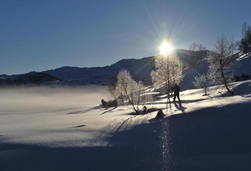 Отель Rongen Gard