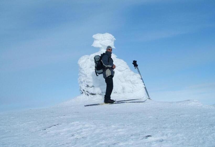 Отель Rongen Gard