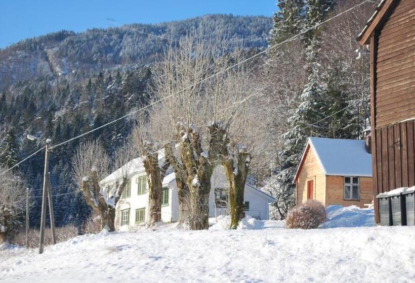 Отель Rongen Gard