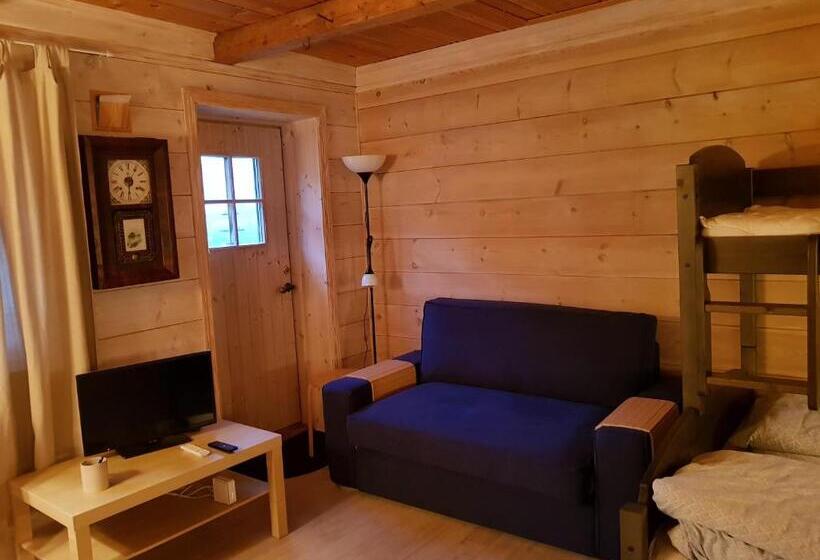 Отель Rongen Gard