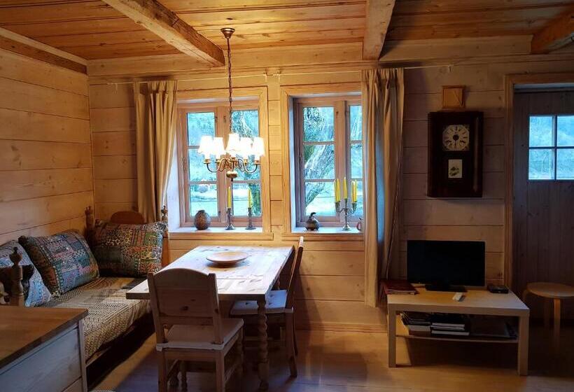 Отель Rongen Gard