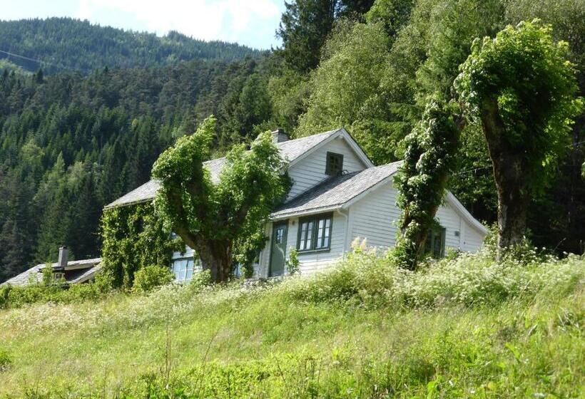 Отель Rongen Gard