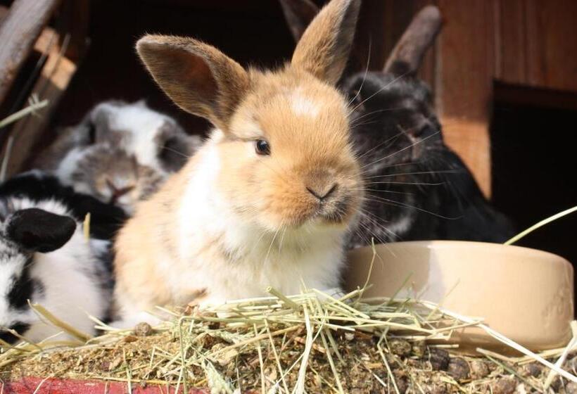 فندق Råshults Gård