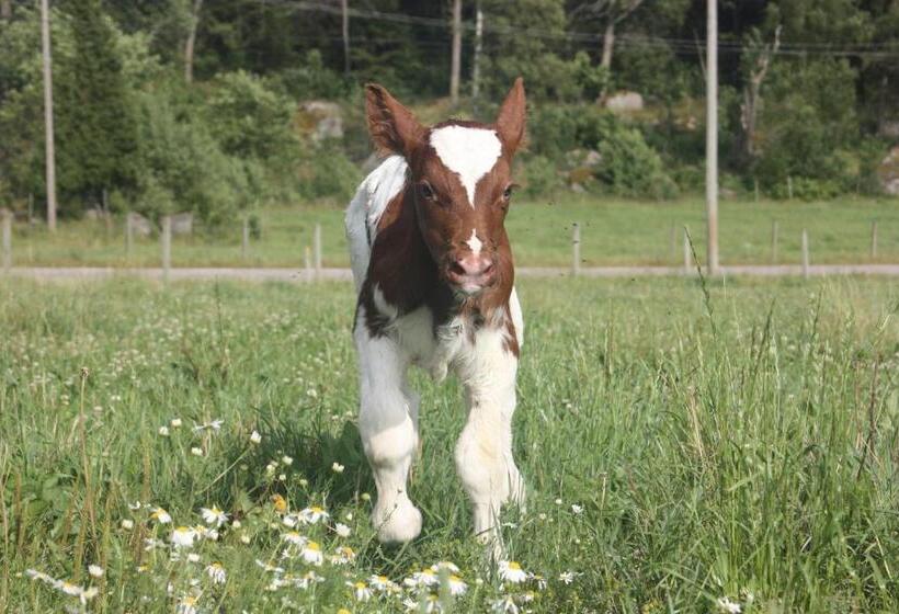 فندق Råshults Gård