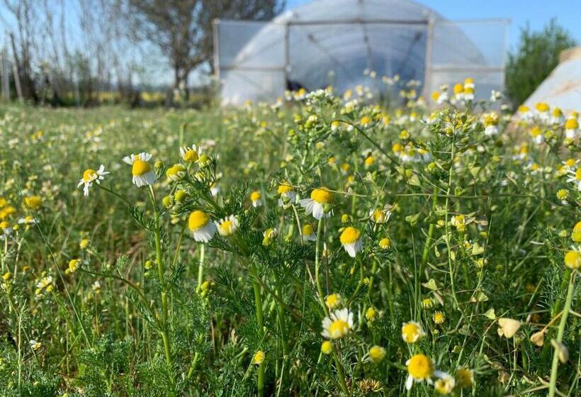 בית מלון כפרי Rumika Ecocenter