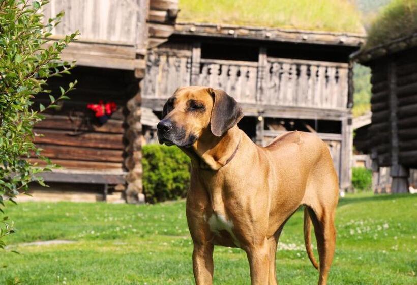 ホテル Sygard Storrvik