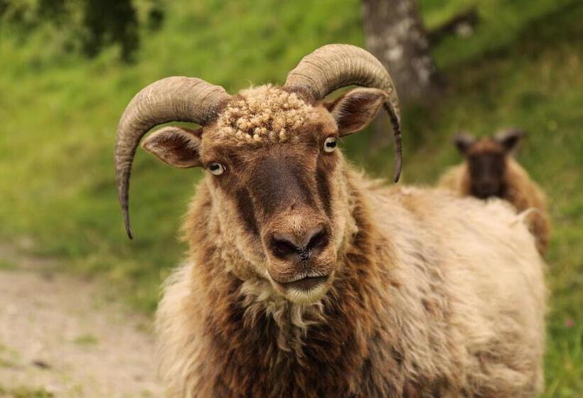 ホテル Sygard Storrvik