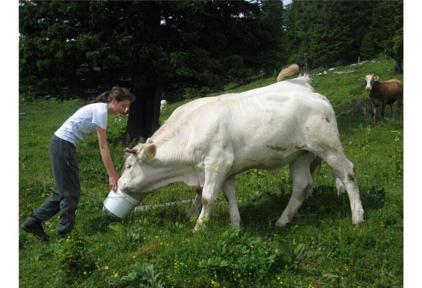 هتل Turistična Kmetija Stoglej