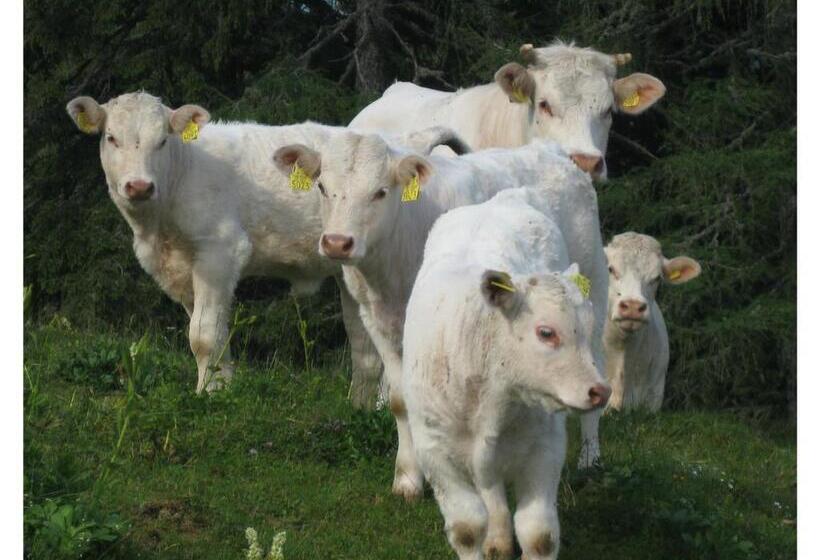 هتل Turistična Kmetija Stoglej