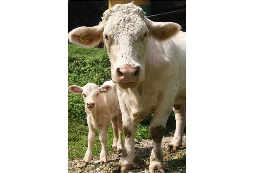 هتل Turistična Kmetija Stoglej