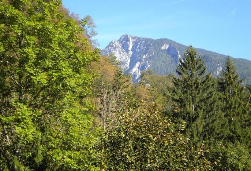 هتل Turistična Kmetija Stoglej