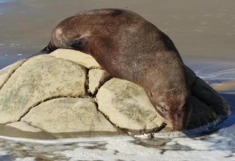 Moeraki Boulders Motel
