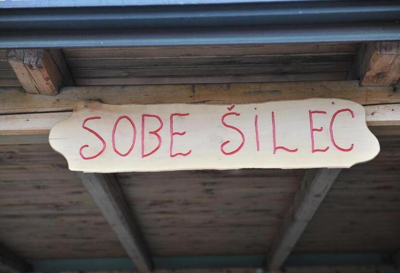 پانسیون Apartment šilec