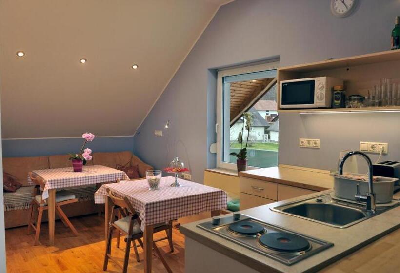 پانسیون Apartment šilec