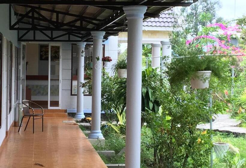 پانسیون Aurora Mekong