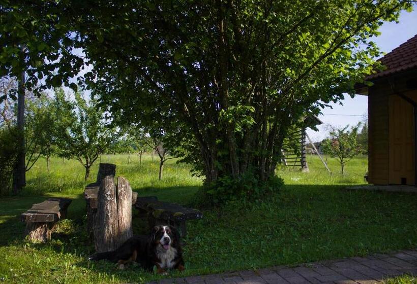 پانسیون Bee House Maya