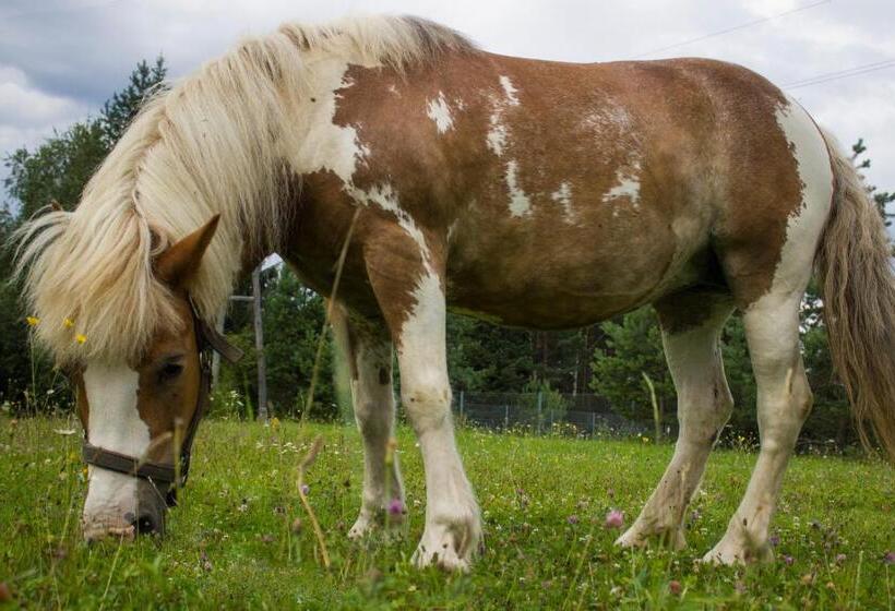 پانسیون Bee House Maya