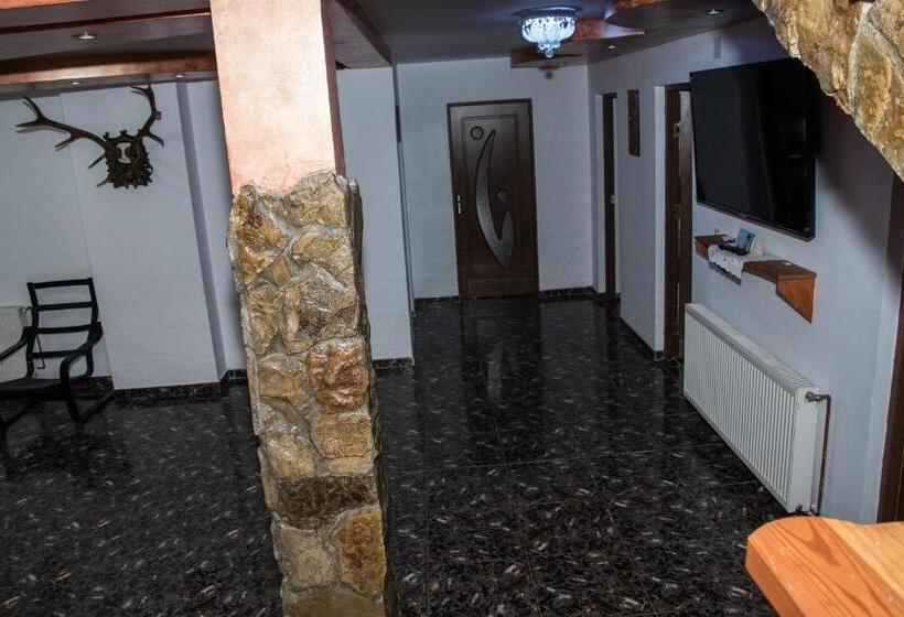 펜션 Casa Viorica și Luis