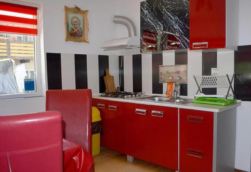 펜션 Casa Viorica și Luis