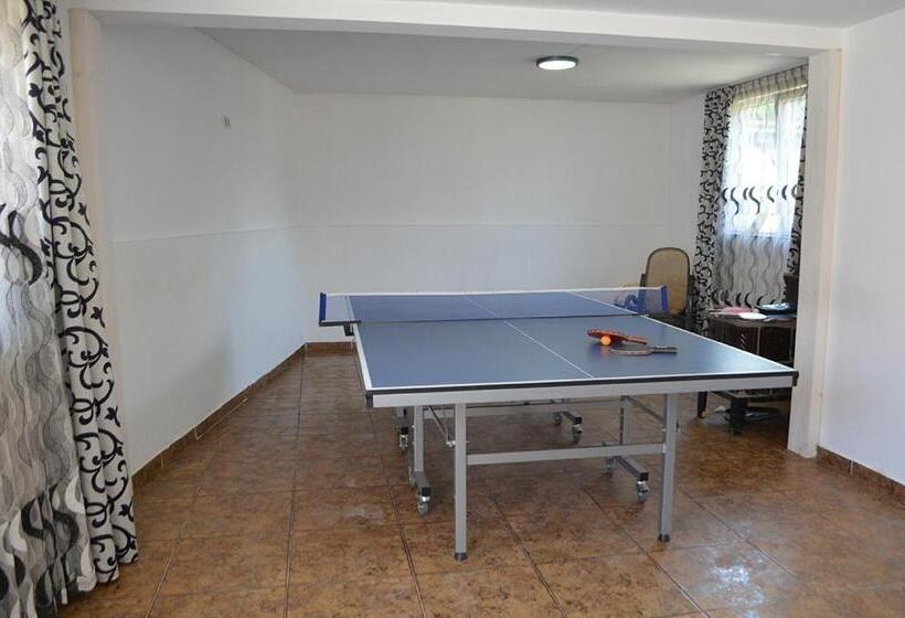 펜션 Casa Viorica și Luis