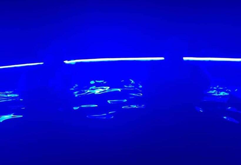 펜션 Casa Viorica și Luis