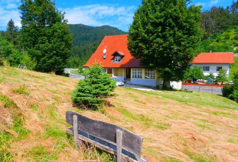 پانسیون Gostilna Stara Pošta