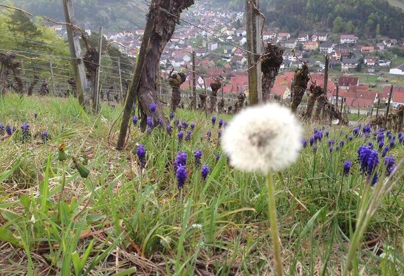 Пансион Gästehaus Ingrid