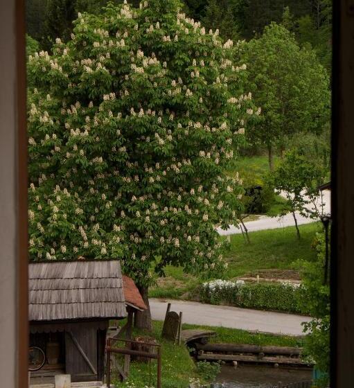 پانسیون Juvanova Hiša   Apartments And Rooms