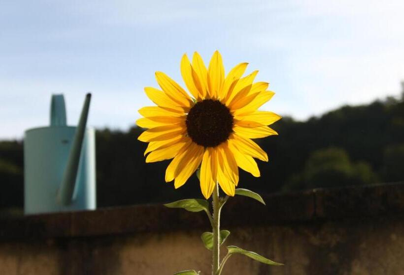 膳宿费 La Roulotte De La Maison Du Bonheur