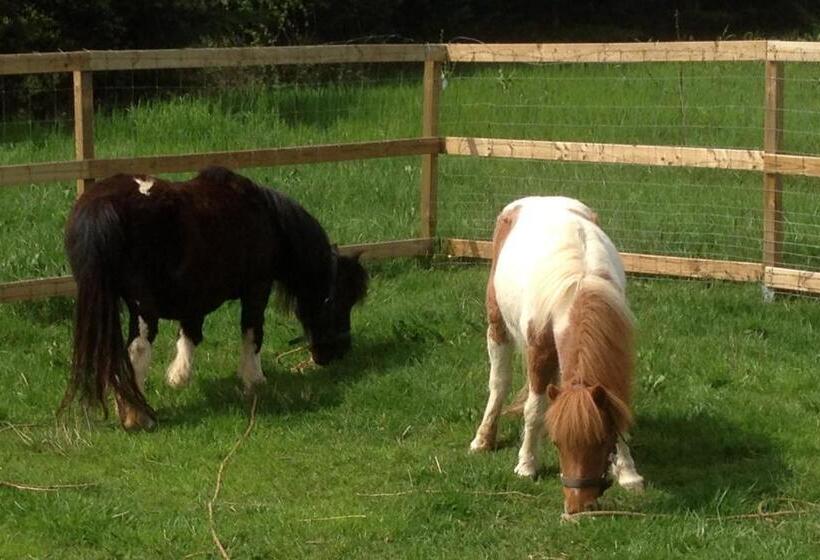 膳宿费 La Roulotte De La Maison Du Bonheur