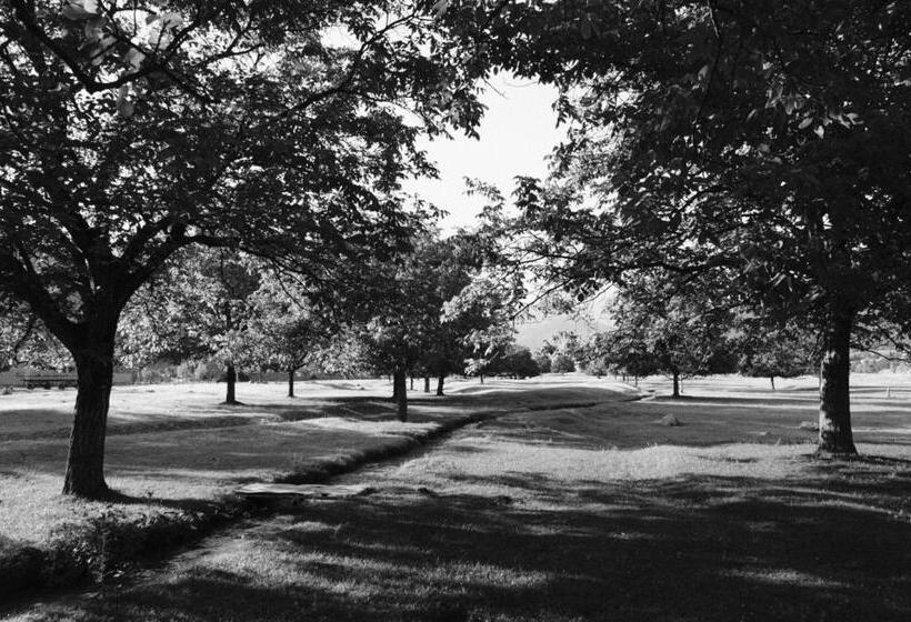 پانسیون Nazy S Guest House